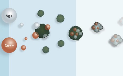 病毒細(xì)菌 病毒細(xì)菌