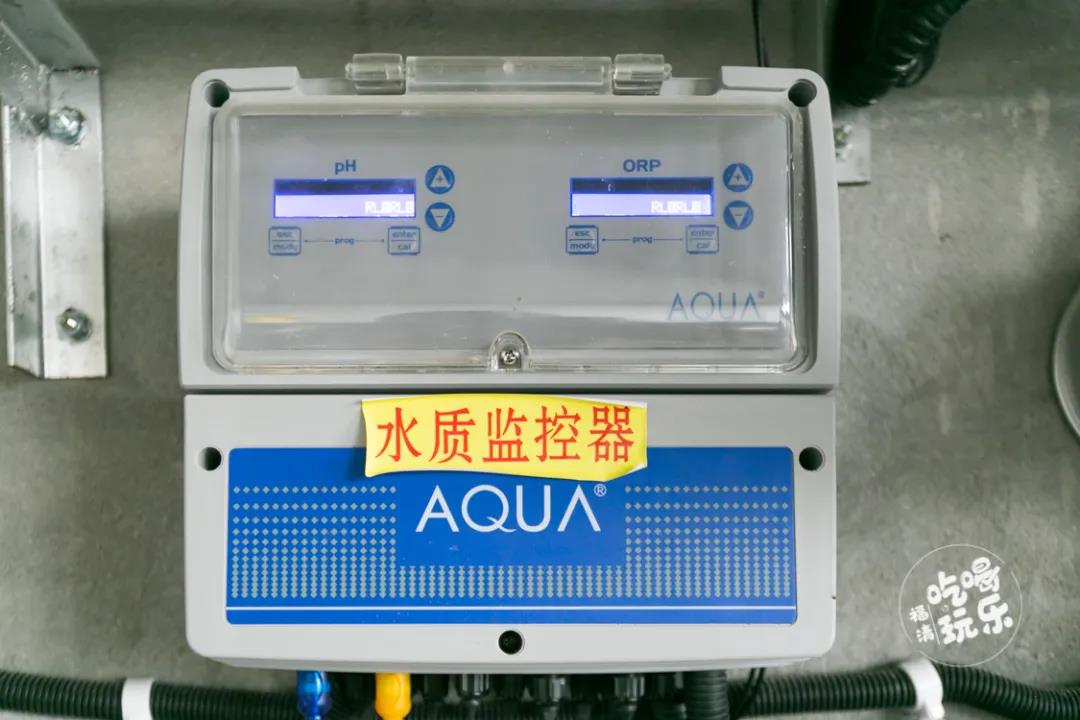 國惠大酒店泳池采用愛克水質監控儀